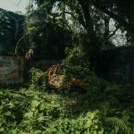 “The Last of Us”: la serie si espande ancora. Ma è davvero un bene?